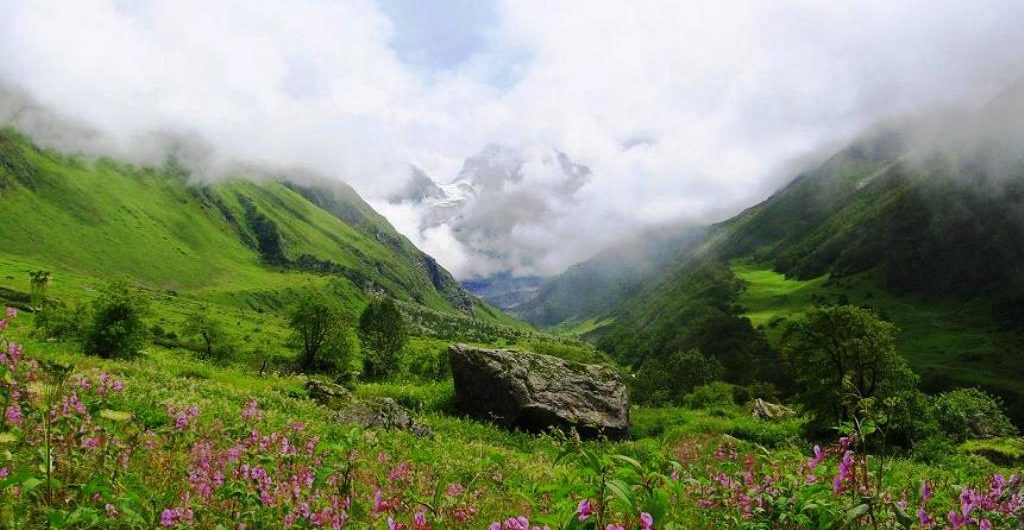 Valley of Flowers