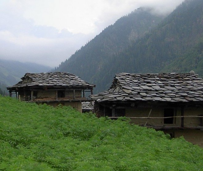 Malana Chanderkhani 