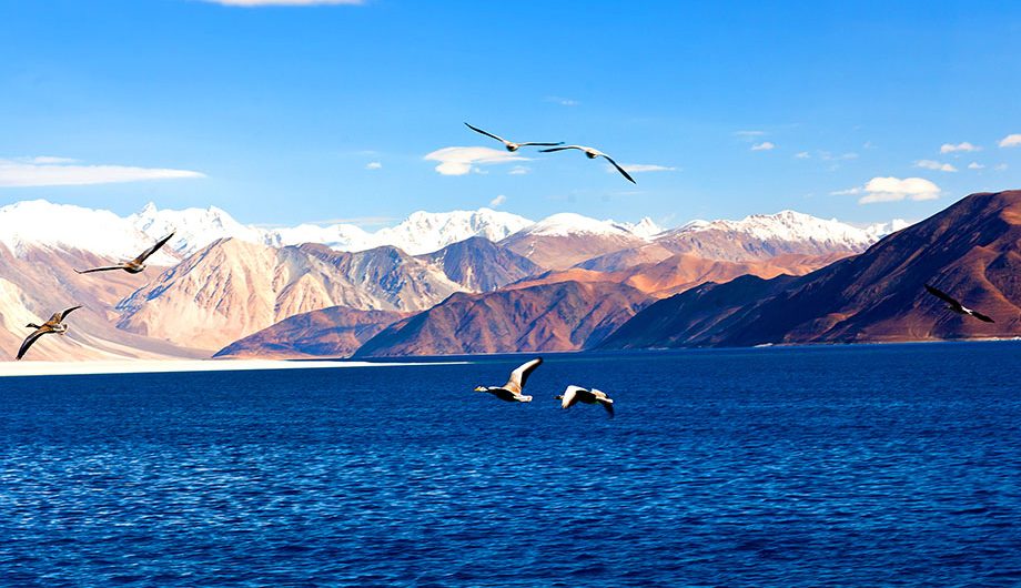 moriri-lake-ladakh