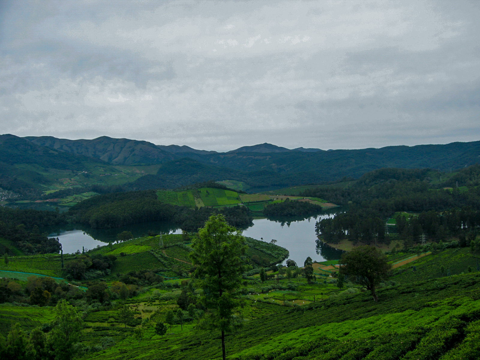 kerala