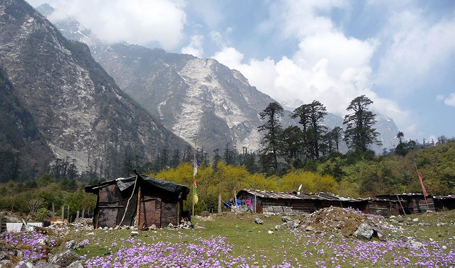 lachung-north-sikkim