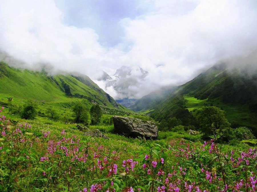 valley_of_flowers_uttaranchal_full_view