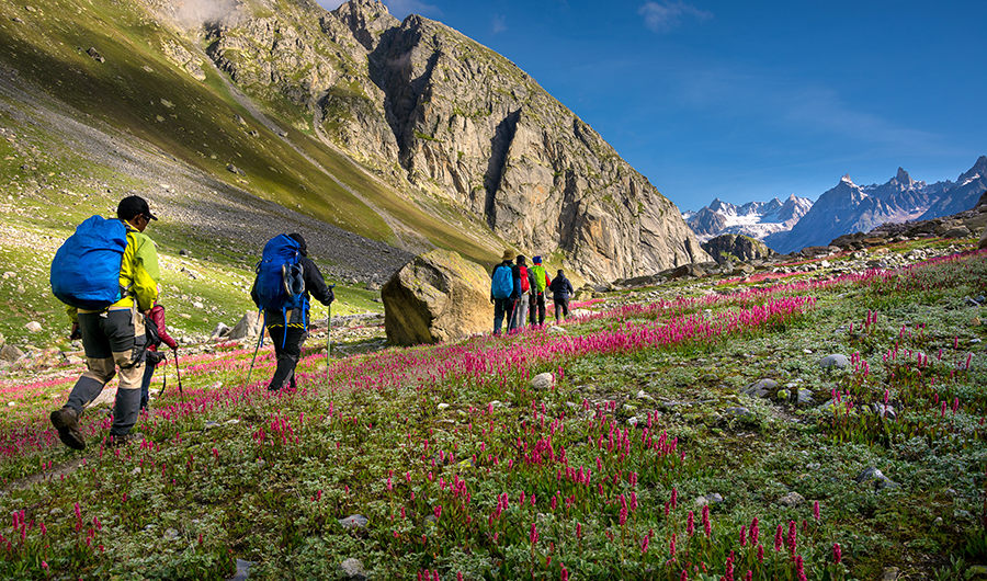 shutterstock_1518801341-manali